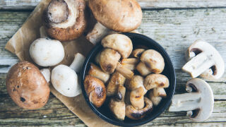 Бели или кафяви гъби: кои са по-вкусни и как се съхраняват правилно?