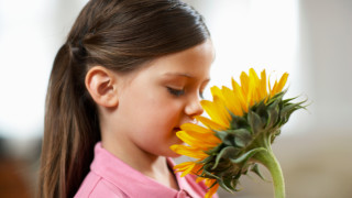 Няколко интересни факта за човешкото обоняние