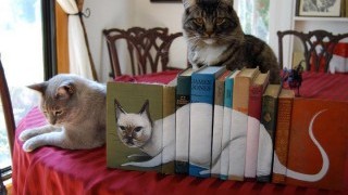 Картини от... книги