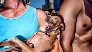 Победителите в конкурса за стрийт фотография на LensCulture
