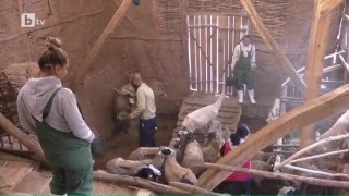 Радилена и Христина обсъждат предстоящия избор на ратаи