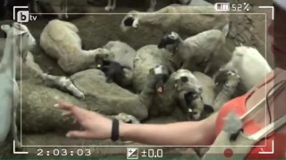 Двете групи отказаха да вечерят