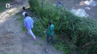 Бягството на кокошката