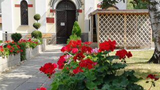 15 ноември: Почит към четирима светци и имен ден 