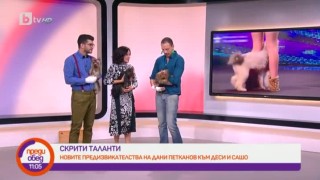 Дани Петканов - с нови предизвикателства към Деси и Сашо