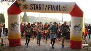 Дизела се включва в 