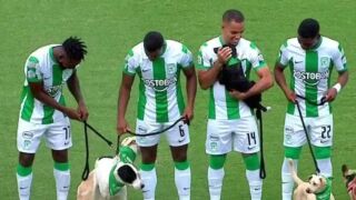 Осинови куче с Атлетико Насионал (ВИДЕО)