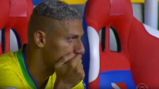 Гълъба отива при психолог (ВИДЕО)