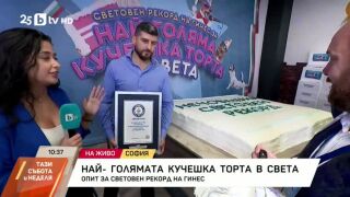 Снимка: Опит за най-голямата кучешка торта в света