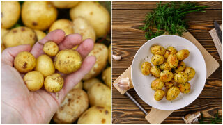 Пресни картофи: 7 съвета как да ги изберете, съхранявате и приготвите