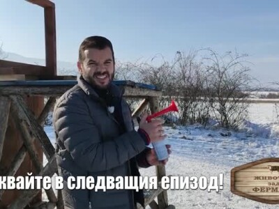 Животът зад Фермата. Епизод 41: Какво да очаквате в последния за сезона епизод