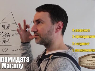 Животът зад Фермата. Епизод 26: Богат или интелигентен?