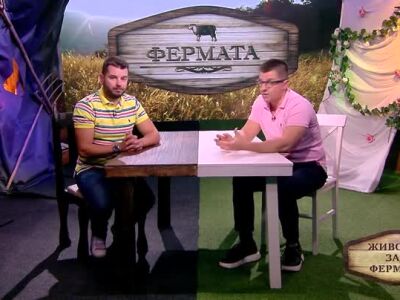 Животът зад Фермата, епизод 16: Защо изразът 