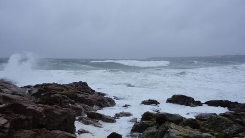 Рибар, познавал капитана на изчезналия в Созопол кораб: Подаден е сигнал в 8:30 ч. на „Гранична полиция“