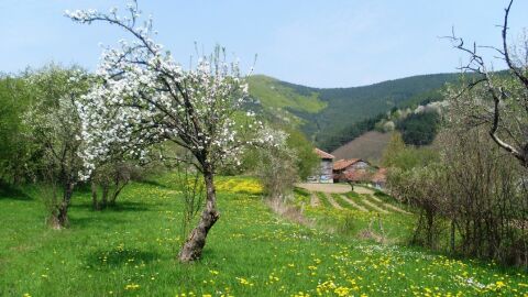 Слънчево време с температури до 21° в сряда