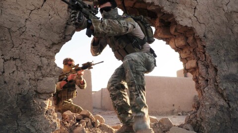 Япония праща въоръжените си сили да се борят с мечки