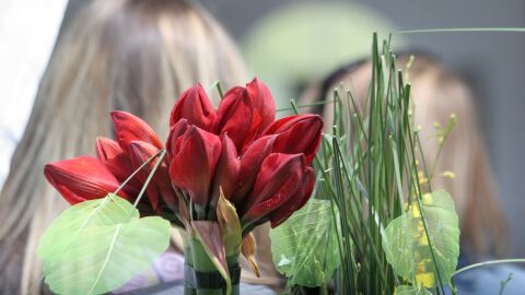 И тази година се очаква скок на цените на цветята преди 8 март