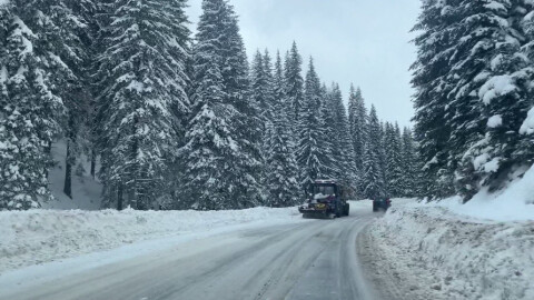 Със сняг осъмнаха проходите в Смолянско