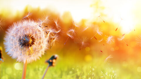 Температури до 24° и жълт код за силен вятър в 6 области във вторник – 7 април