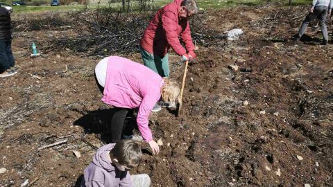 Първите осем декара от изгорялата гора в пожара над Безден бяха засадени на Велики вторник