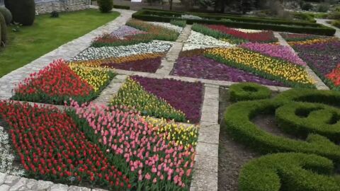 Парад на лалетата в Балчик: Над 60 000 цветя ще радват посетителите