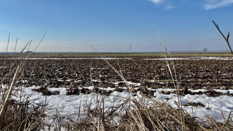 Изминалият март е вторият най-топъл в Европа, откакто се води статистика