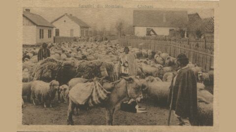 Великденската трапеза преди 100 години: „Много хора не са опитвали агнешко в Румъния. Задоволявали са се с говеждо“