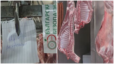 БАБХ издирва 800 заклани агнета