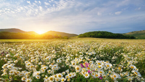 Проф. Георги Рачев: Подмина ни циклон, който трябваше да донесе дъжд. Очаква ни по-топла и суха седмица