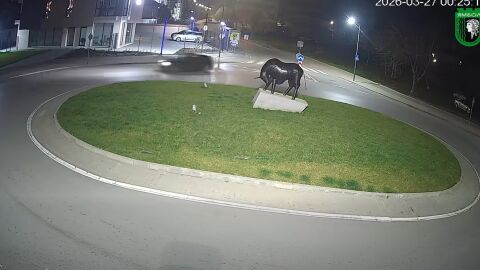 Опасни маневри на кръгово в Ямбол, камери заснеха нарушителя (ВИДЕО)