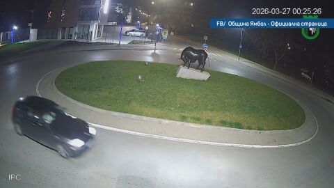 Опасният дрифт в Ямбол: Мъжът - без книжка и без кола. Взел автомобила на приятел