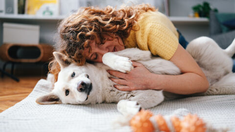 Разработват хапче, което удължава живота на кучетата