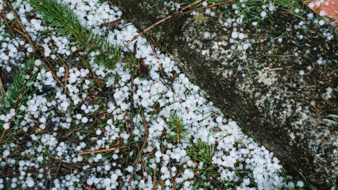 Начало на сезона на градушките: Защитени ли са нивите?