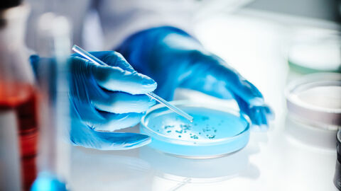 Учени успяха да неутрализират генетичната причина за синдрома на Даун