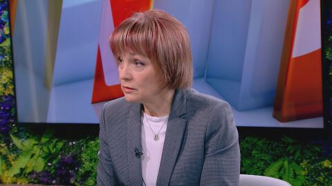 Росица Матева: Всички българи в чужбина могат да гласуват, дори без заявление