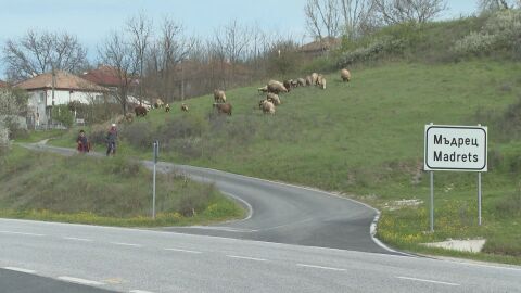 Без кръчма и училище, леят бетон сами: В с. Мъдрец умуват как да вземат мъдро решение на вота в събота