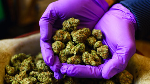 Турция конфискува над 200 кг марихуана на границата с България