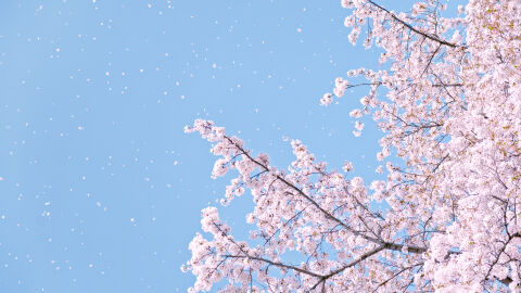 Жълт код за силен вятър в няколко области, температурите - до 28°