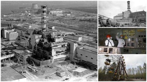 Снимка: Природа под сянката на реактора: Как аварията в 