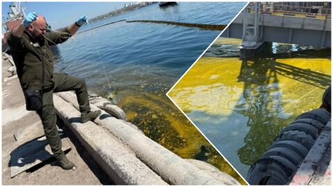 Над 6000 тона слънчогледово олио се разляха в Черно море