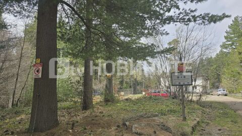 Падна блокадата на пътя към хижата на Петрохан (ВИДЕО и СНИМКИ)