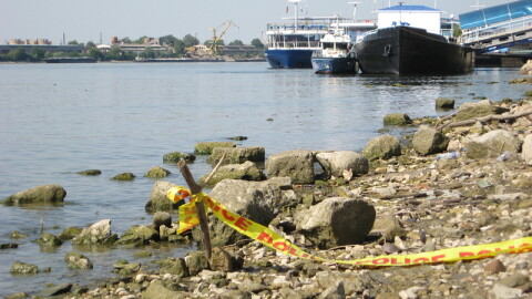 Мъртъв пеликан и мазни петна по река Дунав, РИОСВ проверява 