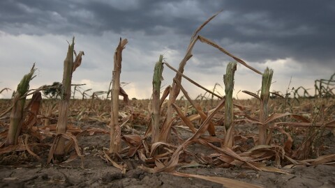 Зам.-министърът на околната среда: Климатичните промени вече са реалност за България