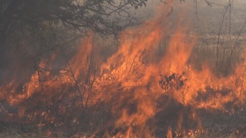 Пострадалите стопани от пожарите у нас: Държавата ще ги подпомага с пари по схемата de minimis