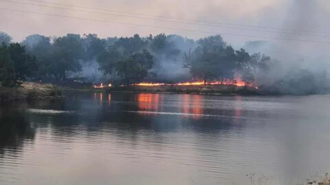 5 екипа и булдозер гасят пожара между хасковските села Елена и Момино