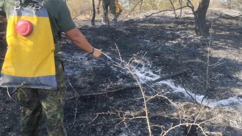 Едно от трите нови огнища в Пирин е потушено, второто създава опасност