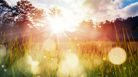 Повече слънце и температури до 17 градуса на 2 март