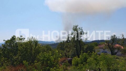 Снимка: Всички 300 работника са евакуирани от завода край Белица, заради взривове, има ли жертви и пострадали?