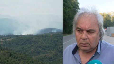 Снимка: Директор в 