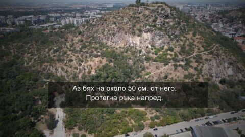Снимка: 